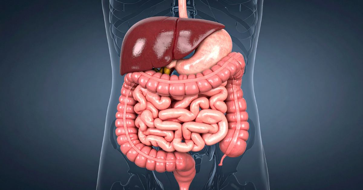 Microbiota Intestinal