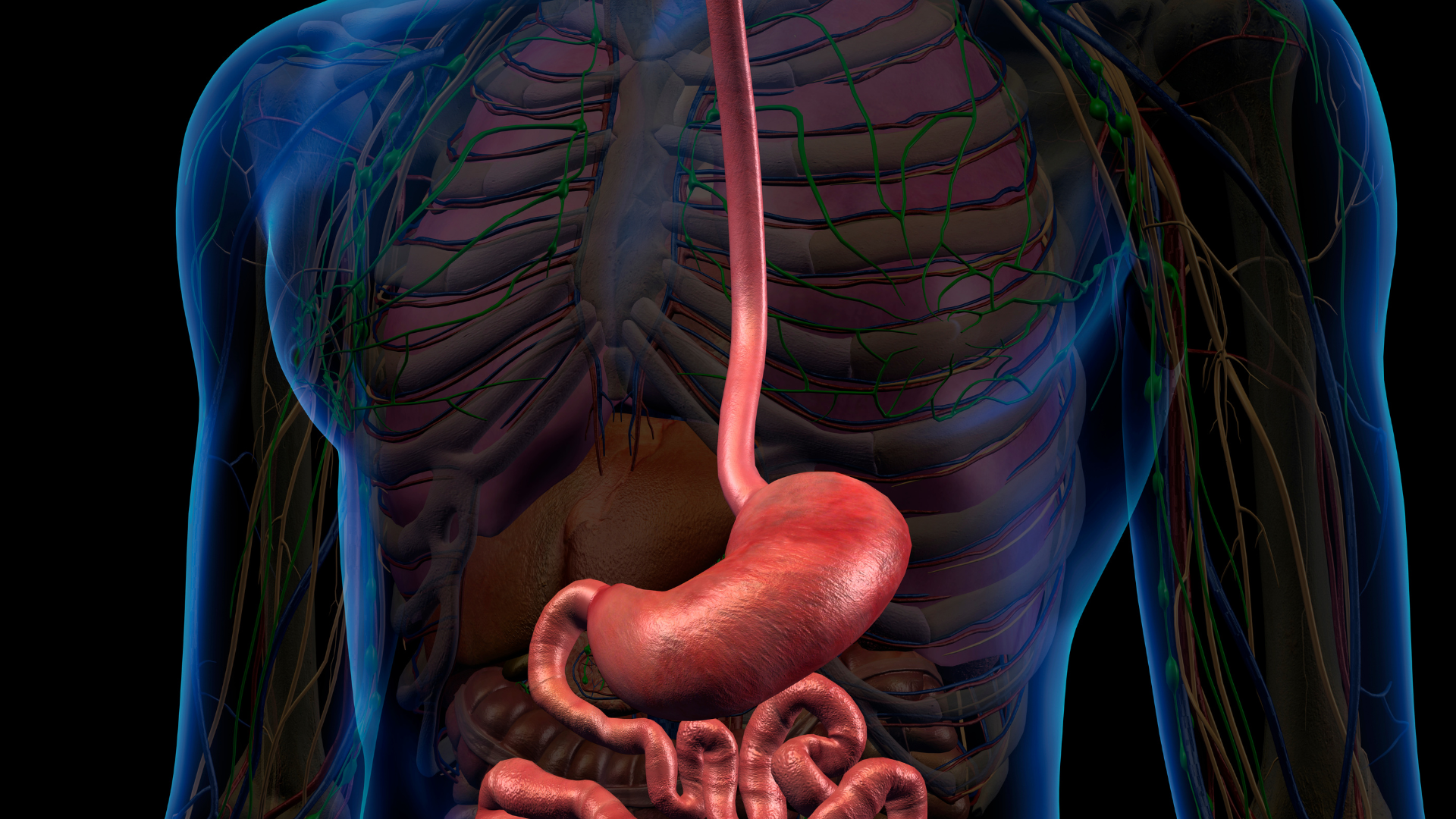 câncer de esôfago - tumor maligno no esôfago